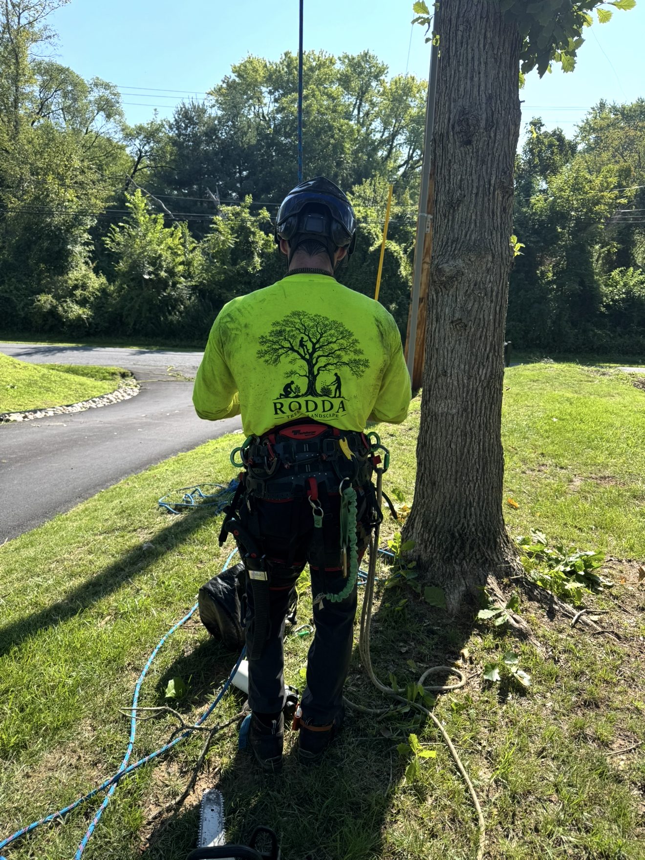 Tyler Rodda in branded Rodda Tree and Landscape gear at a job site