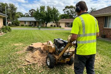 Stump Grinding