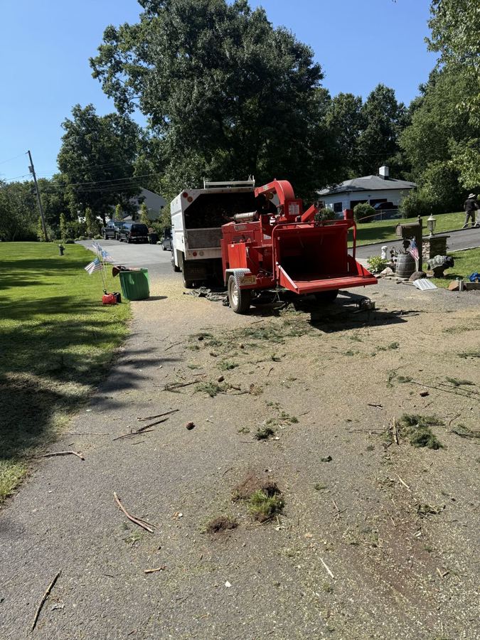 Cleanup & Chipping