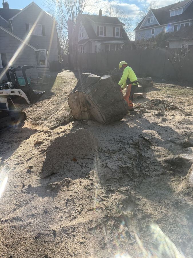 Tree Removal