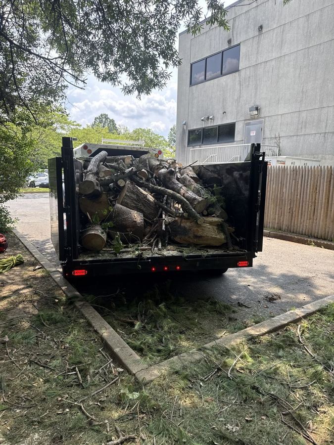 Debris Haul-Away