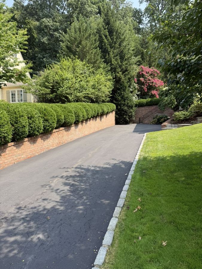 Shrub Pruning